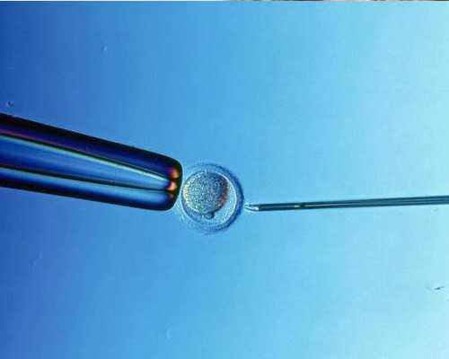 地埋箱泵一体化泵站_“国际博物馆日”中国主会场定点南京博物院