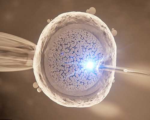 污泥压榨泵_2015南红玛瑙价格走势