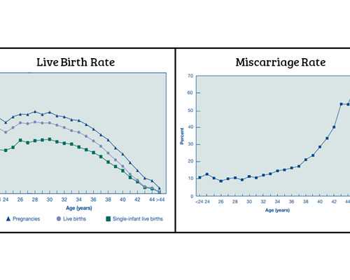 二胎香港验血是女儿_香港验血鉴定胎儿性别准吗_性别鉴定多少钱