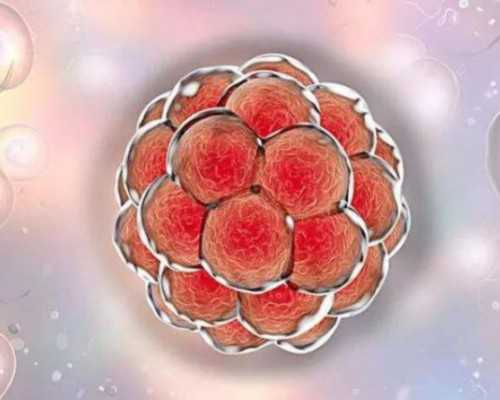 香港验血时间不够_怀孕2个月香港验血查男女_我的经历，给你更多的惊喜!