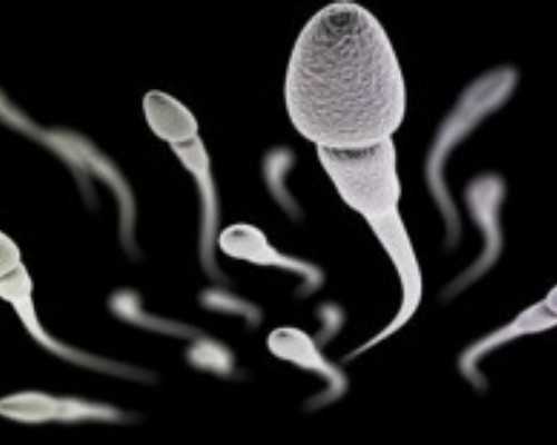 香港验血6周半准吗_香港鉴定胎儿性别医院哪家好？几周最准确