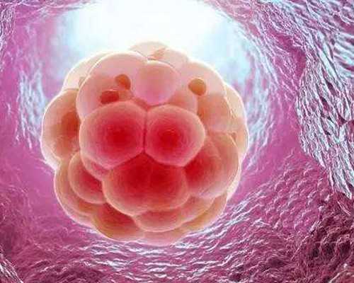 往复泵图例_名家稀缺 指墨画仍遭市场冷遇