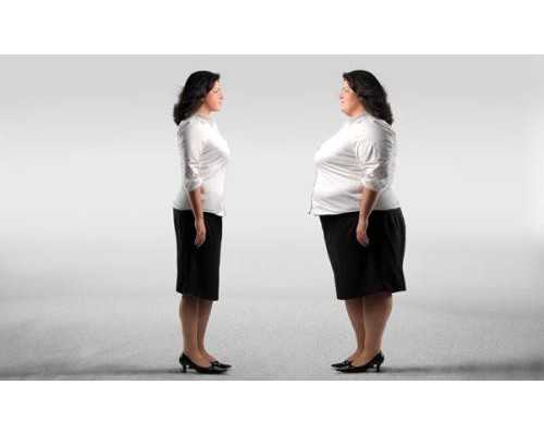 力士乐柱塞油泵公司_当代艺术品收藏有哪些建议？