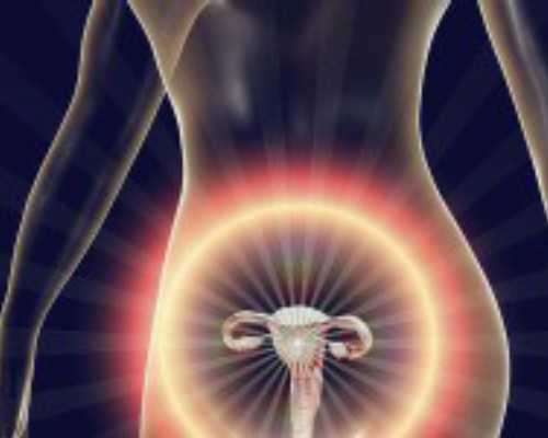 家用暖气循环泵价格_博物馆学视野下的藏品研究