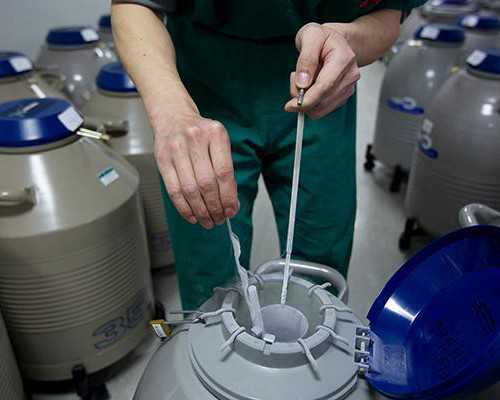 鱼缸水泵怎么选择大小_南瓜