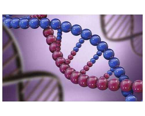 香港验血为什么要满足7周_香港验血是男孩会不会不准告诉你