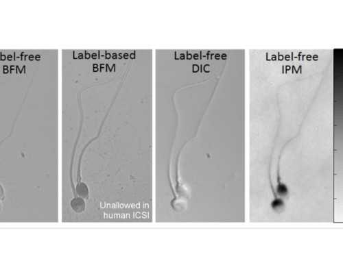 泵字怎么读音是什么意思_隐瞒不报比文物被盗更可怕