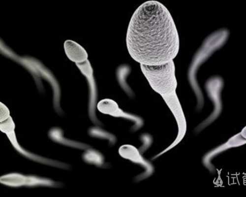 香港验血鉴定男女周六验什么时候出结果_香港验男女中介多少钱_胎儿性别鉴定