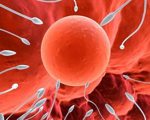 香港HKdna验血结果单_香港+验血+生男女_验血两次结果不同是真的吗!