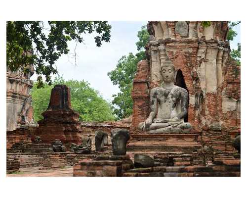 香港验血预约网址_香港验血的最佳时间_查性别详细流程是什么!
