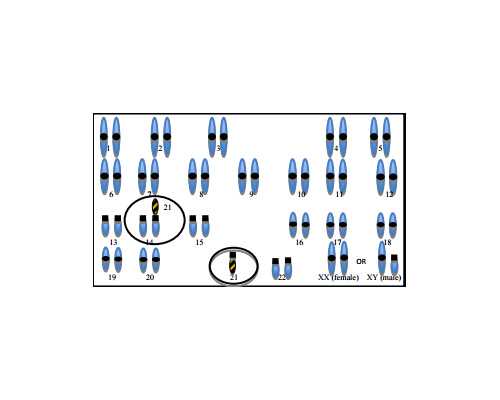 哺乳期香港验血结果准确吗_去香港鉴定胎儿性别要准备什么时候,亲身经历也许