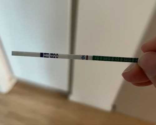 注射泵显示err是什么意思_日本东京国立博物馆展出中国古代书画作品