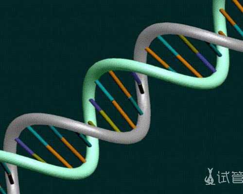 香港7周验血测性还蛮准_孕六周香港验血_性别鉴定需要注意什么条件!