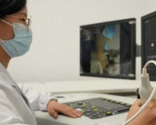 泵车价格表 三一重工多少钱_聚焦龟兹:佛教艺术品市场空间广阔