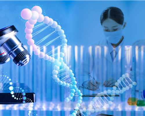 泵是什么_拉筋能瘦腿吗