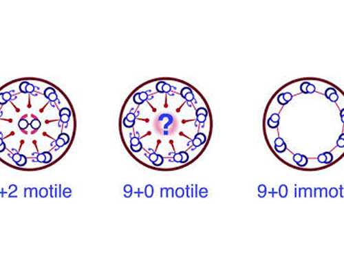 香港验血查男女准确吗_香港验男女中介准吗_验血查男女应该注意什么!