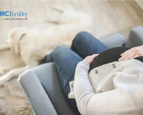 地源热泵的工作原理图_“为中国画——全国高等艺术院校人物画教学研讨会暨