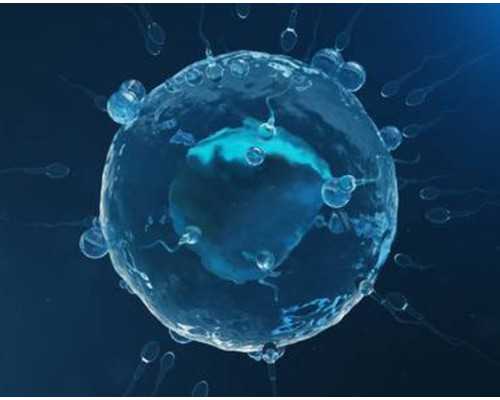 提升泵十大品牌_互联网+能否让不可移动文物动起来