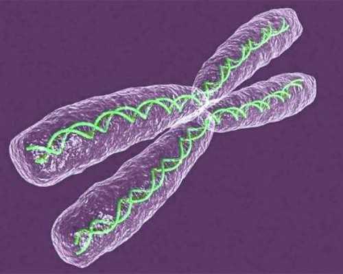 香港验血查男女要多长时间出结果_香港怀孕验血性别精确吗？最全攻略全在这