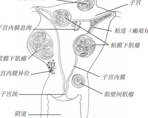 香港验血怀孕多久可以验出来_有没有在香港验血不准的?？我来告诉你