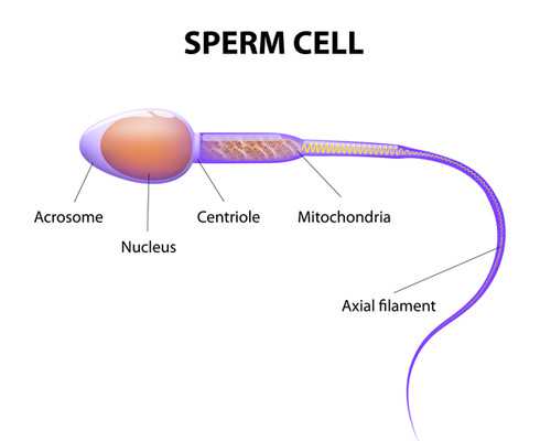 卡默尔滴定泵说明书_万里山海起宏图 全国文史馆员以翰墨丹青致敬新时代