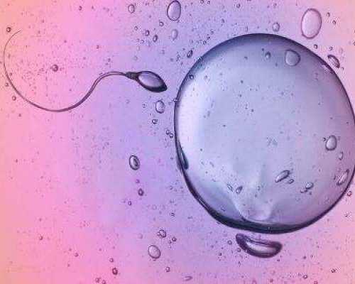 空气源热泵· 史密斯_庄辉：道家与书法