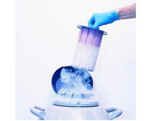 香港孕妇验血报告单_香港做dna胎儿性别鉴定，让亲历者用事实来讲述真相