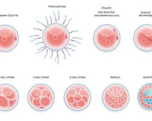 香港验血流程机构_香港验血准确,你想知道的都在这里