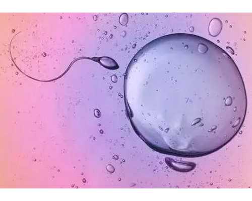 无电抽水泵原理图_《非草书》批评视域下的书法学习理念