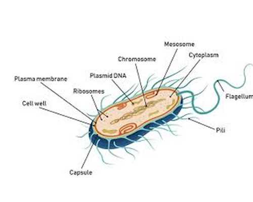 凯泉泵业机械有限公司_书法批评需要理性和包容——从“丑书”谈起