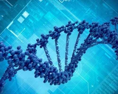 循环泵英文缩写O.S.是什么意思_市场依然处在探底当中