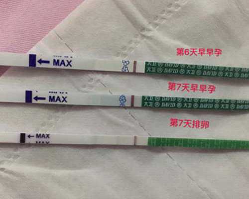 香港验血邮寄要三天_香港验血查男女是演的什么_香港验血的费用是多少!