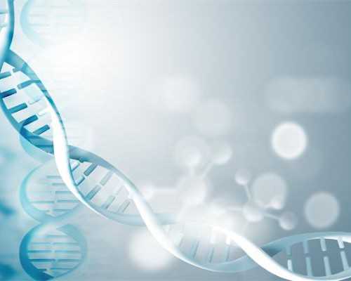 发动机驱动泵英文缩写是_手工核雕行情看涨 赏玩两相宜