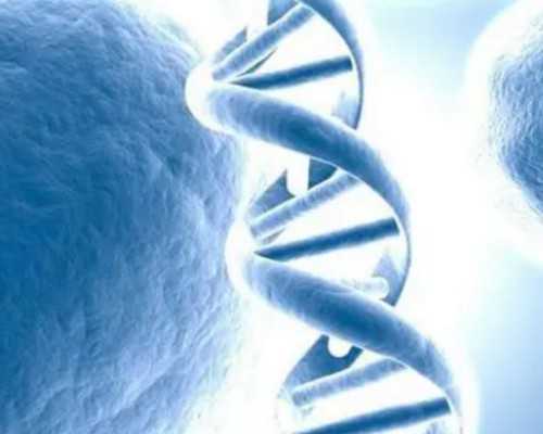 香港要几周才能验血验出来_验血测不到y就是女孩吗_真的有那么高准确率吗!