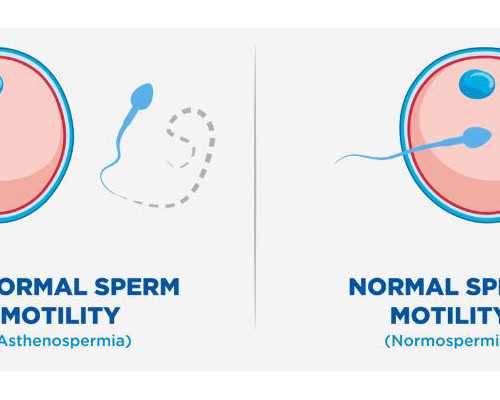 香港验血电话通知_香港验血有多大准确率_鉴定性别是骗局吗