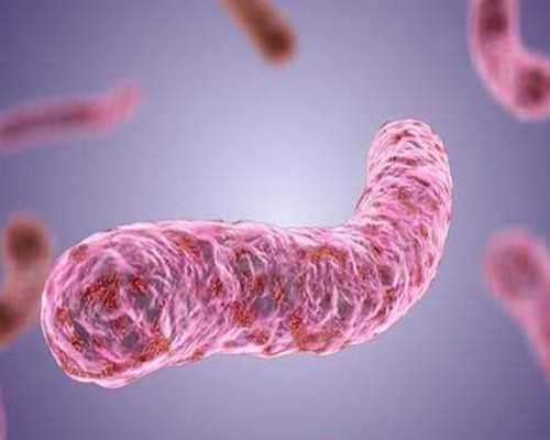 YL压滤机泵_从“岭南艺象”主题展中的东莞题材作品,看岭南画派精神的传承