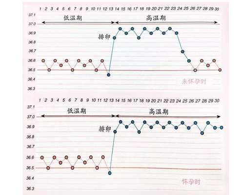 香港验血为什么男士不能碰血管呢_香港验血鉴定男女机构准不准_大陆可以验血