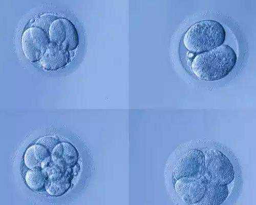 香港验血邮寄冰袋血液怎么放置_香港七周查男女准吗,鉴定性别是男宝,有可能翻