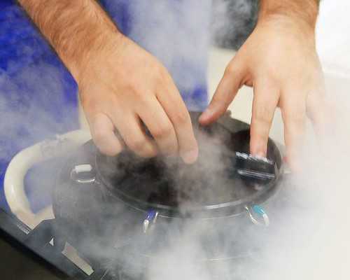 给香港验血需要几天_香港验血验到11个y准不准_性别鉴定真会翻盘吗