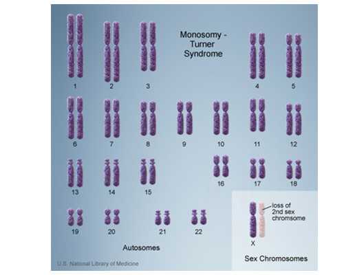 香港验血鉴定多少天_香港验血血放了冰箱后能用吗_居然只要2600
