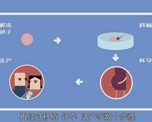 持续泵入的英文缩写_薛永年：花鸟画传统散议