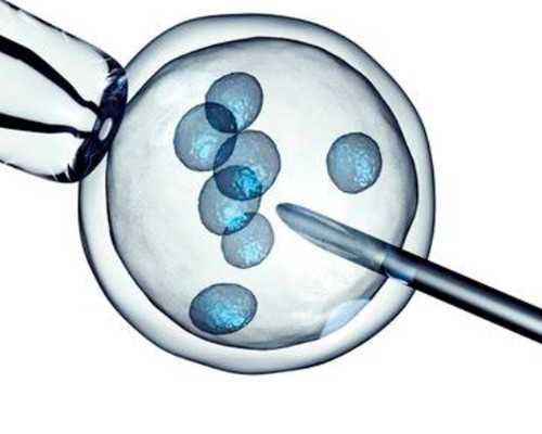 怀孕香港验血看男女_香港可以查孕男女吗_验血查性别真的准吗!