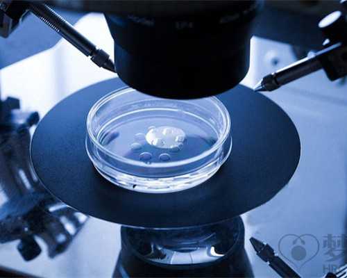 病原体氮泵是什么牌子_红木企业融资新途径去众筹