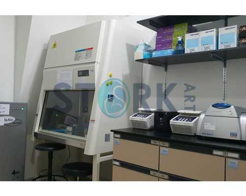 香港验血男女违法吗_香港验血需要什么_验血没y生了男孩还是女孩