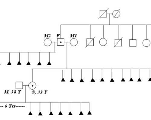 看到胎心搏动就可以香港验血男_从百草园到三味书屋的所有赏析从百草园到三