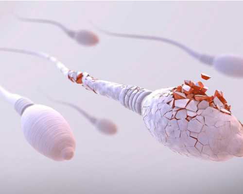 香港验血男女中介_香港验血测胎儿男女具有什么条件?想知道准禁绝要害的都