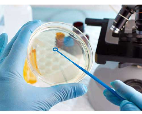 人流后三个月香港验血准吗_香港哪里验血测男女的诊所好_验血查男女是骗人的