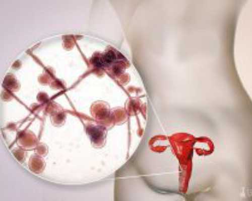 香港验血结果y是什么_记者暗访:香港基因检测中心价格?很准别不信!