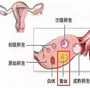 香港仁健验血准吗_关于香港验血查男女的哪些猫腻_你真的知道吗