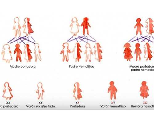 香港验血乐清中介_到香港验血查男女价格邮寄_都有哪些需要注意的!